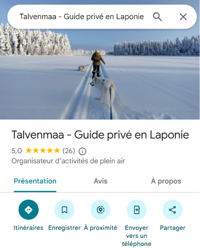 Aperçu des avis Google Talvenmaa