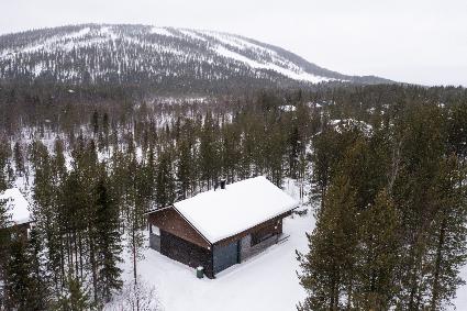Cottage en bois